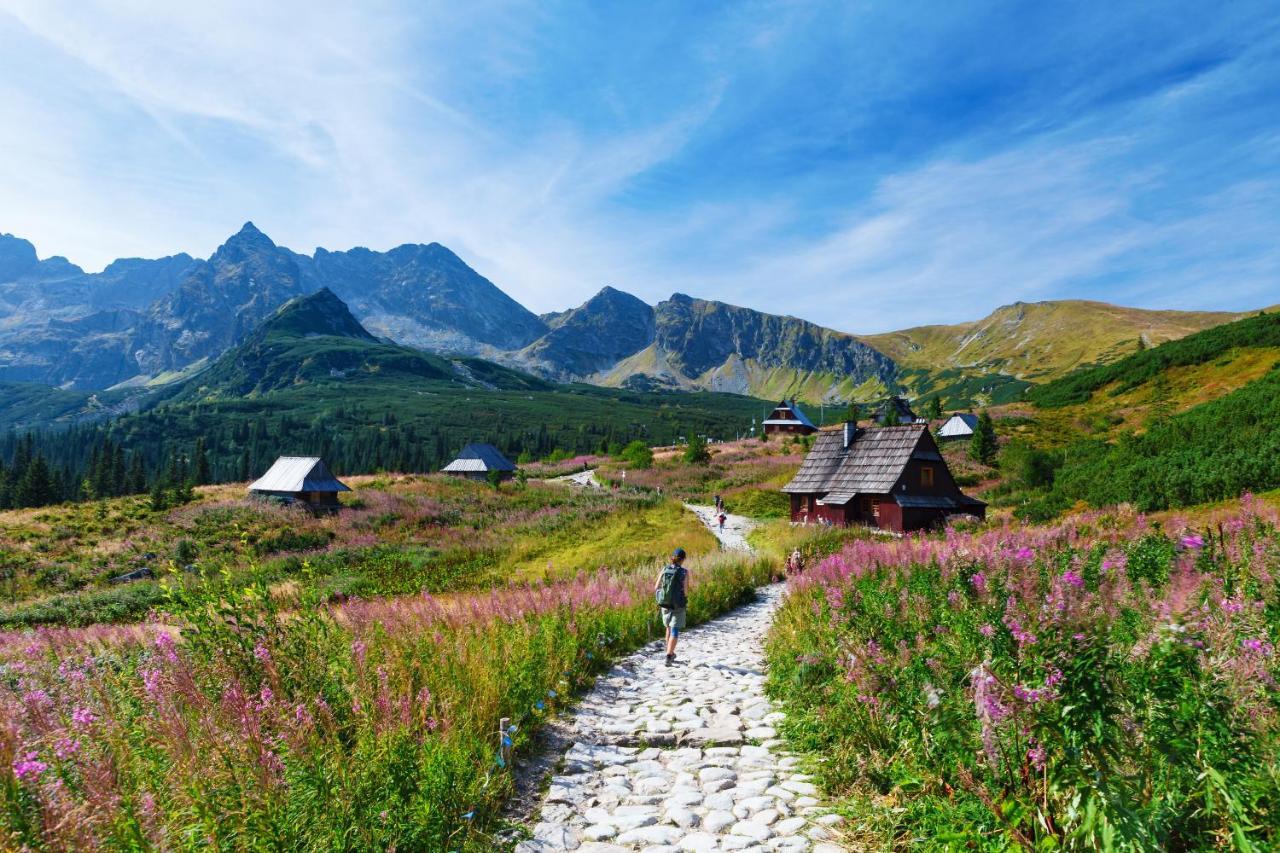 Zakopane - Apartament Chomikowka Екстер'єр фото