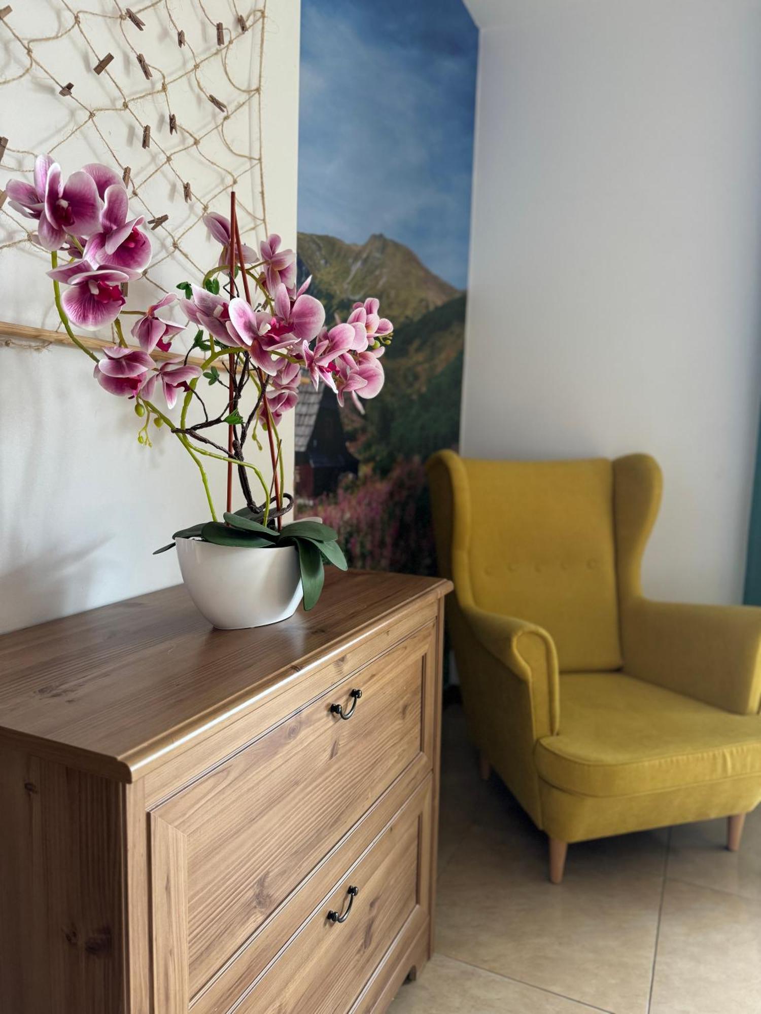 Zakopane - Apartament Chomikowka Екстер'єр фото